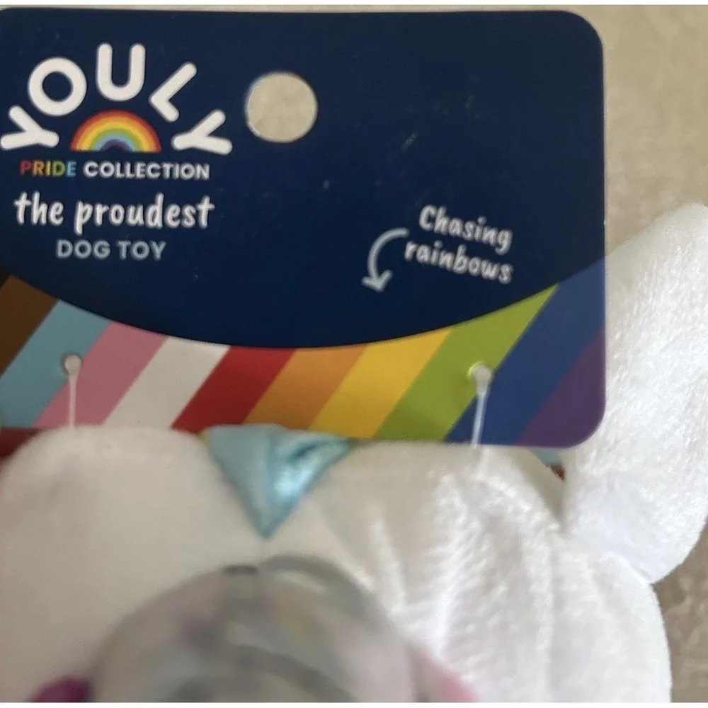 Youly Pride Collection Large Dog Package 6 items Unicorn, Bear, Wings, Heart
